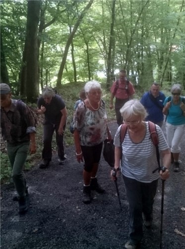 Es ging durch den Wald für die Wanderer des Taunusklubs. Taunusklub Bad Ems