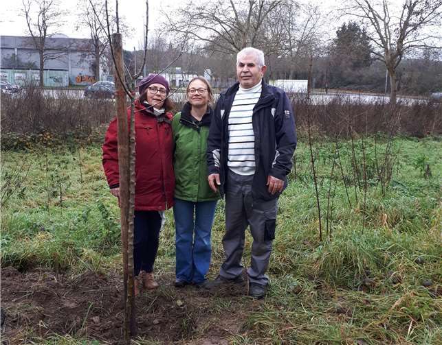 Es hat lange gedauert, nun ist eine Baumpatin gefunden.Foto: privat