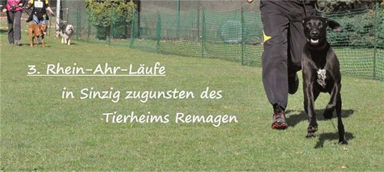 Es konnte eine Spende in Höhe von mehr als 700 Euro für das Tierheim Remagen erlaufen werden.
