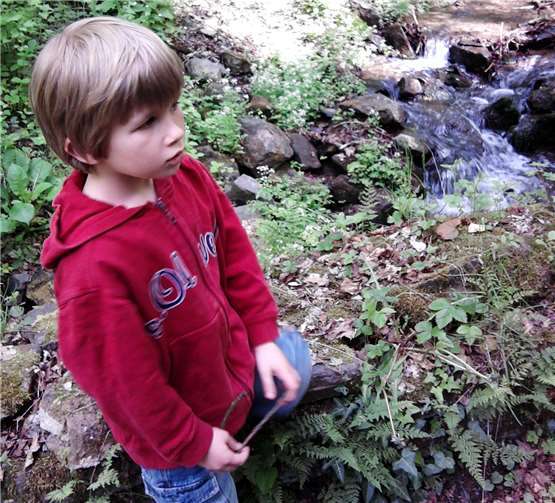 Es sind noch die letzten Plätze für den Waldausflug frei. Privat