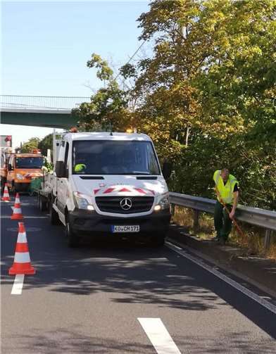 Es war ein herausfordernder Auftrag für die Garten- und Landschaftsbauer der CarMen gem. GmbH. Fotos: privat
