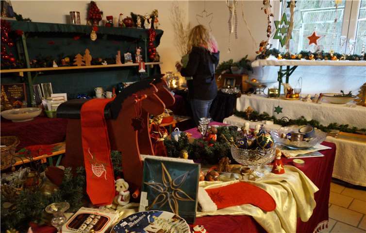 Es weihnachtete ordentlich im Mayener Tierheim. Fotos: SOT