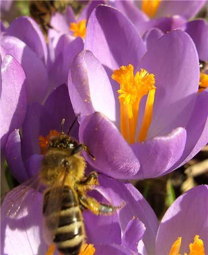 Es werden verschiedene Referenten zu den unterschiedlichen Themen und für Fragen zur Verfügung stehen. Foto: privat