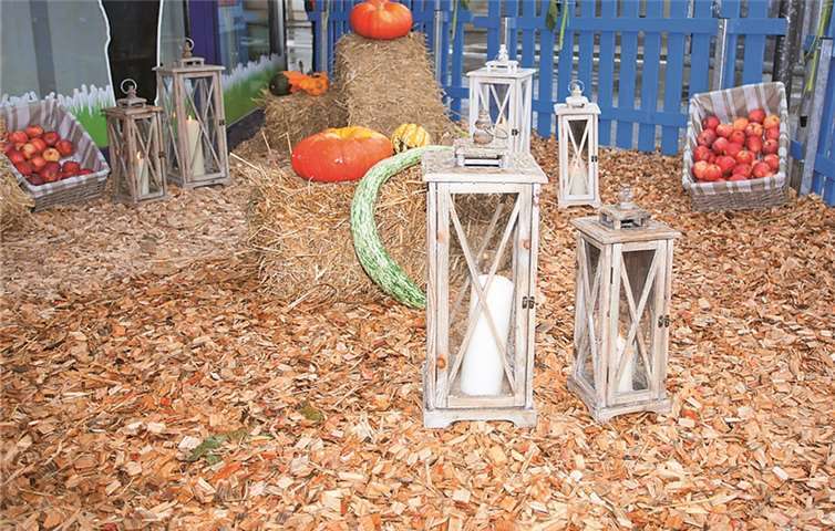 Es wird herbstlich in der Innenstadt.Privat