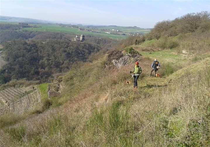 Es wurde gemäht, Büsche geschnitten und Müll gesammelt. privat