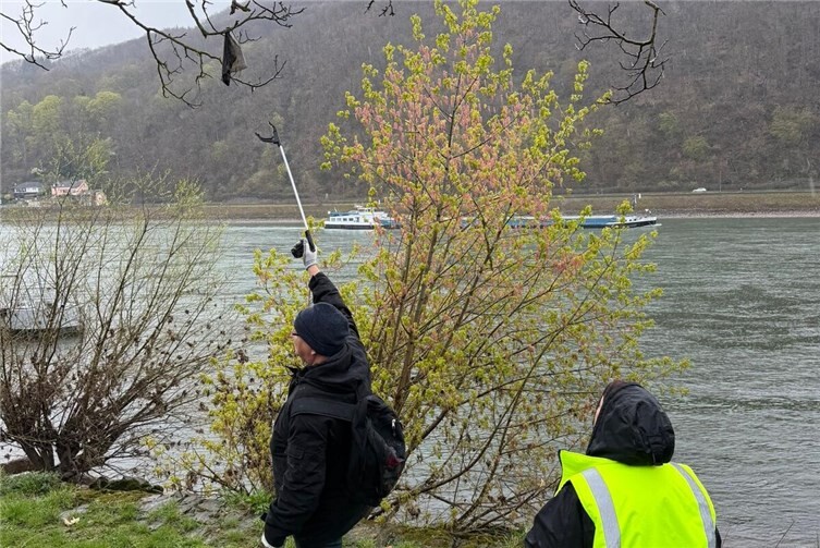 Es wurde in zahlreichen Bereichen Lahnsteins gesammelt.