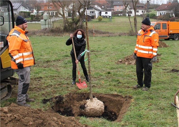 Es wurden ausschließlich alte Sorten gepflanzt. Foto: Stadt Wirges