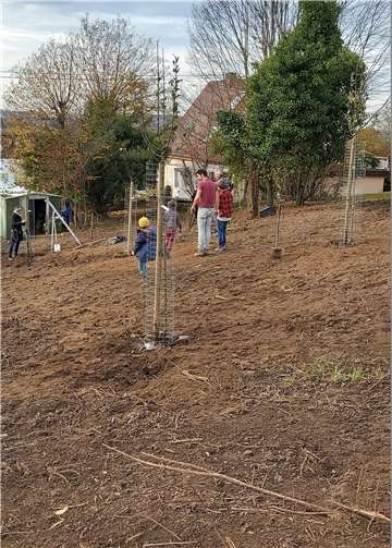 Es wurden vier Apfelbäume gepflanzt.Foto: privat