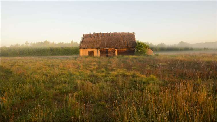 Es wurden wunderschöne Fotografien der Fotografen Gabriele und Harry Neumann zusammengestellt. Quelle: Naturschutzinitiative e. V.