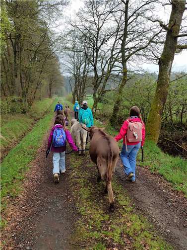 Eselführerschein, wo gibt es denn sowas?  Foto: privat