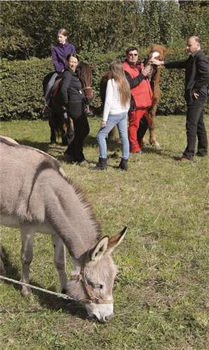 Eselin „Anita“ stärkte sich erst einmal nach der Segnung im Schatten der Schwanenkirche.
