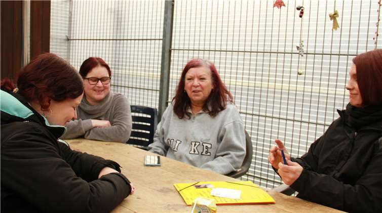 Etwa 15 Mitglieder kümmern sich aktiv um die Betreuung der Tiere und versorgen sie von morgens bis abends.