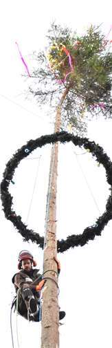 Etwa 23 Meter hoch kletterte Nico Weber um am Kirmesbaum die Seile zu lösen.HEP