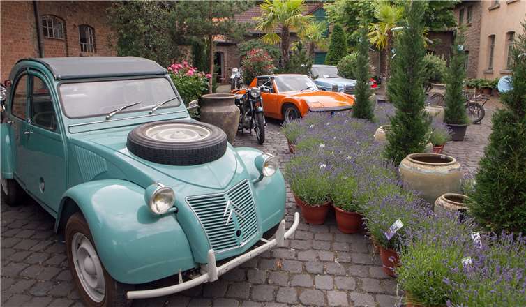 Etwa 50 Oldtimer gab es im „Männerparadies“ im historischen Sängerhof zu sehen.