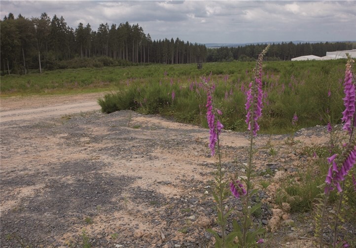 Etwa 50.000 Quadratmeter Fläche können noch erworben werden.