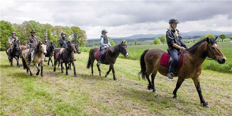 Etwa 60 Pferde wurden bei der Heiligen Messe am Wachtberg-Denkmal von Prälat Hans-Josef Radermacher und Pfarrer Hermann Josef Zeyen gesegnet. VJ