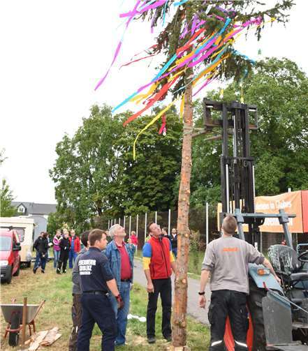 Etwa 8 Meter lang ist der Kirmesbaum in Bubenheim.