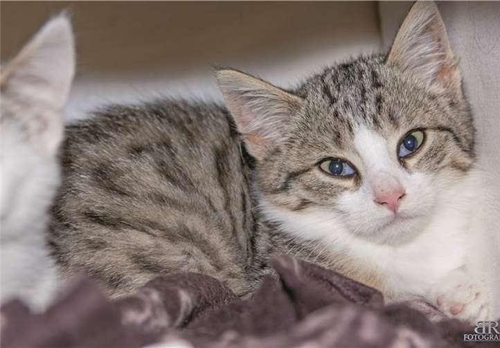 Eve wurde frei geboren und braucht eventuell Freigang.privat