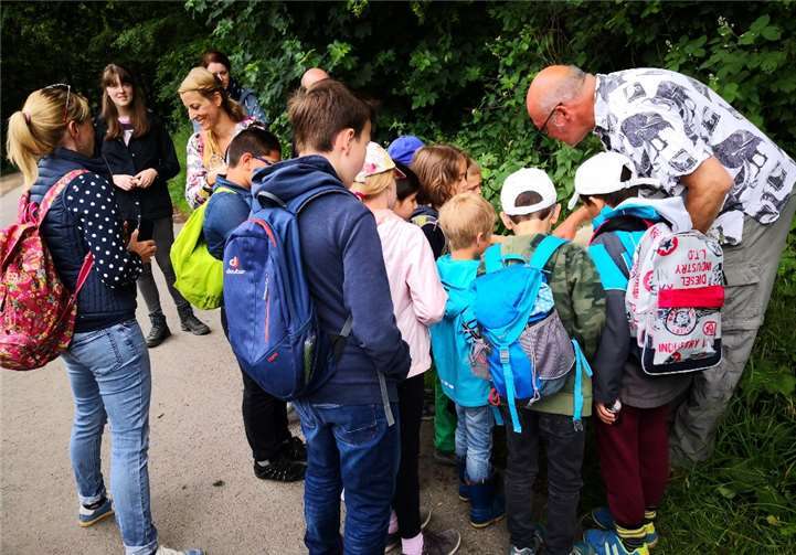 Exkursionsleiter Prof. Dr. Wagner für Zoologie von der Universität Koblenz gab den Teilnehmern einen interessanten Einblick in die heimische Käfervielfalt. Fotos: privat