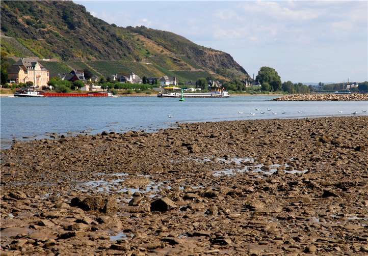 Extremes Niedrigwasser wie hier im Rhein bei Namedy ist auch eine Folge Klimawandels, wissen Experten. Andernach begegnet dem Klimawandel und nimmt an einem speziellen Projekt teil.Foto: Stadt Andernach/Maurer