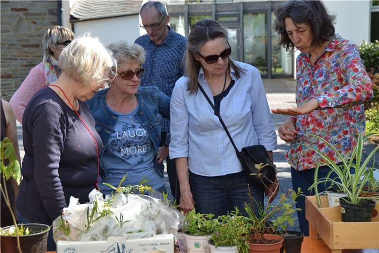 Fachkundig werden die Pflanzen begutachtet.