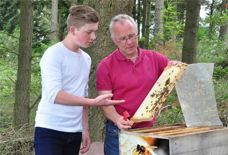 Fachmännisch nehmen Jungimker Luis Ternesund Dr. Christoph Otten, der Leiter des MayenerBienen-Fachzentrums , die Bienenstöcke in Augenschein.
