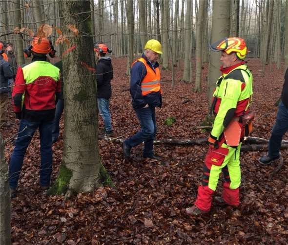 Fällung heißt vordenken.