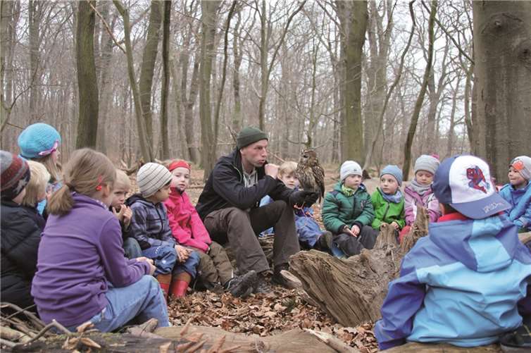 Falkner D. Moser mit seinem Waldkauz Fritz.Privat