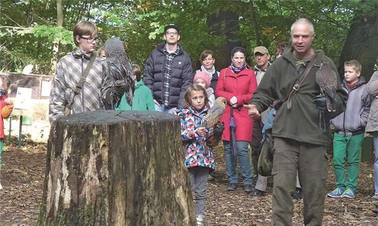 Falkner Robert Geis (rechts) mit seinen beiden Hilfsfalknern boten eine tolle Grefivogel-Vorführung.