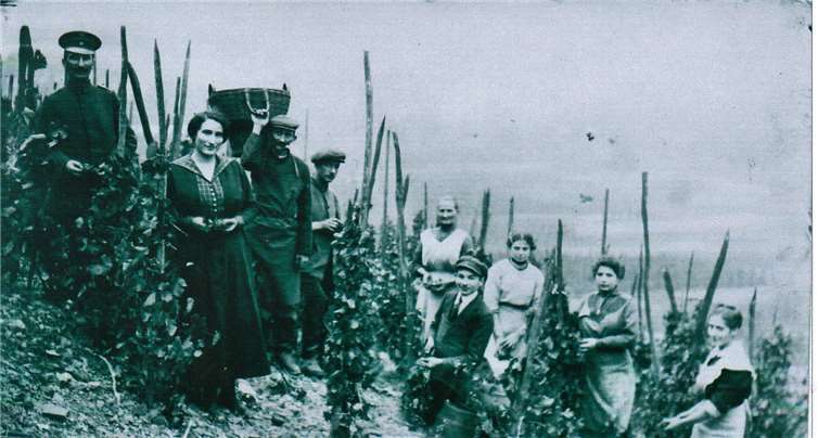 Familie Joseph Heymann aus der Niederhut 61 mit Angestellten circa 1918 bei der Weinlese in Ahrweiler, links Moses und Schwester Illa Heli geb. Heymann. Sammlung Matthias Bertram