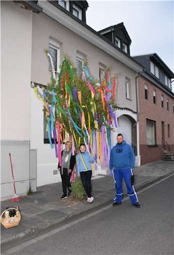Familie Kraus und Nachbarn der Frankenstraße in Odendorf schmückten spontan nach altem Brauch den Baum vor der Haustür.Foto: Alfred Eich