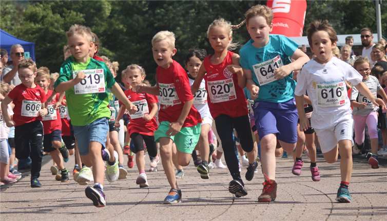 Teilnehmer- und Streckrekord auf dem Klosterberg Fast 120 Kinder liefen beim 2. Bärchenlauf des VfL Waldbreitbach ins Ziel.