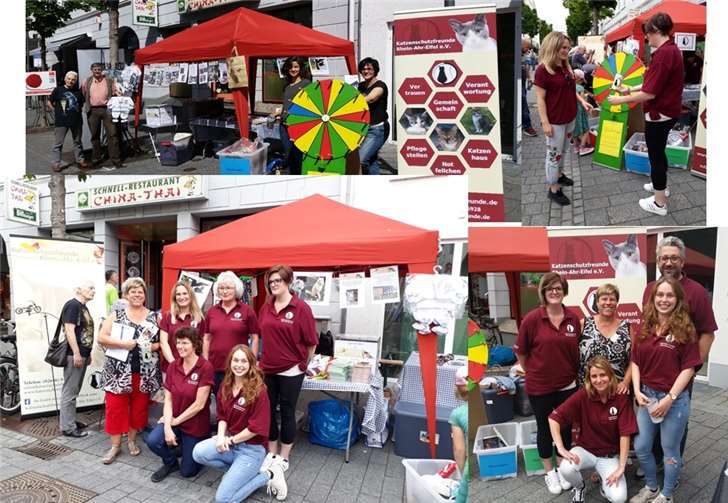 Fast 800 Euro an Spenden kamen beim Fest der guten Laune zusammen.Foto: privat