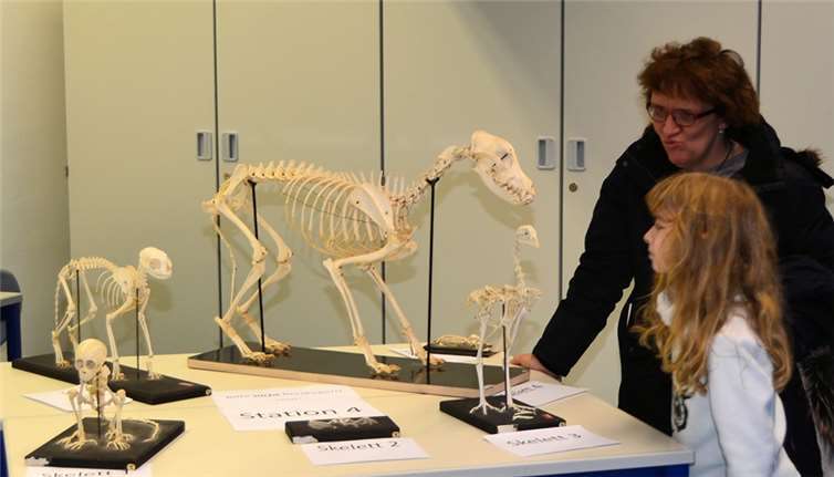 Faszinierende Naturwissenschaftsolympiade.