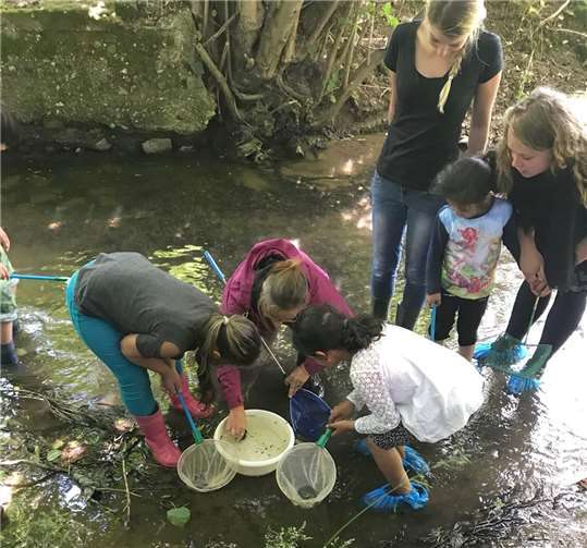Fasziniert von den Lebewesen im Swistbach waren die Teilnehmer und Betreuer des Projektes „Kindercity goes nature“.Stadt Meckenheim