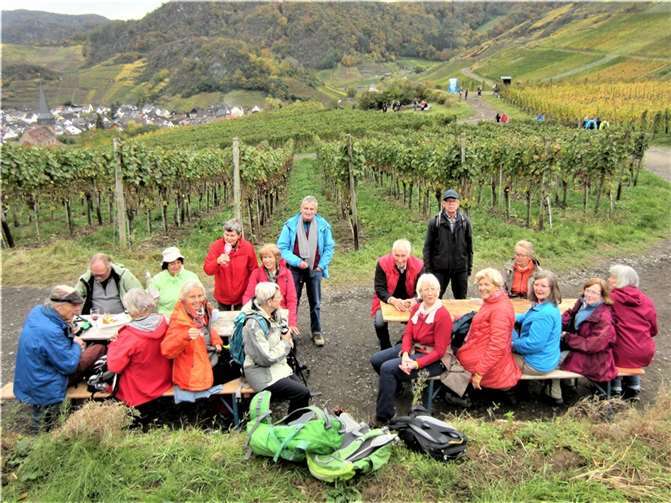 Federweißer und Federroter im Ahrtal.Foto: privat