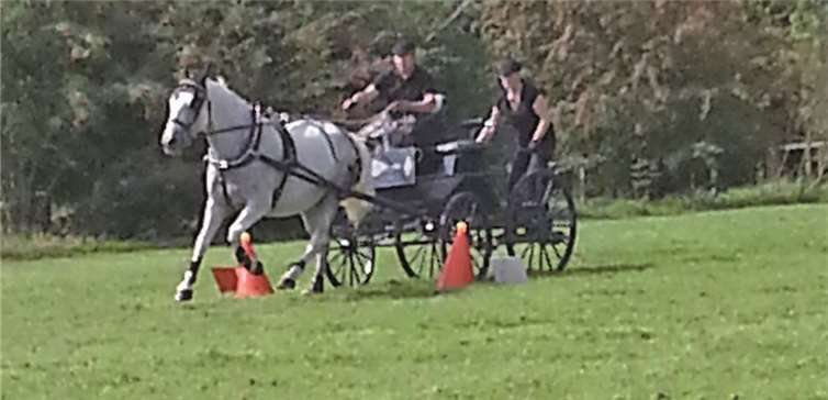 Fehlerfrei ging es durch den Hütchenparcours. RV Bruchhausen e.V.
