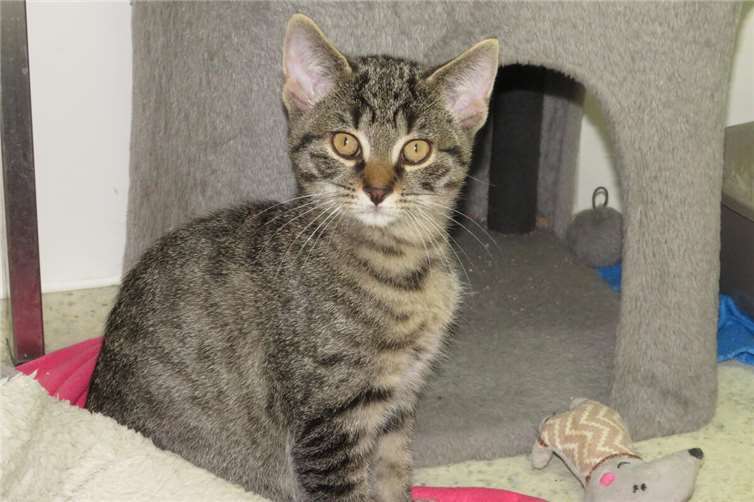 Felipe. Fotos: privat