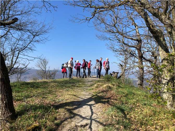Fernblicke auf den Rhein bei Sonnenschein. Fotos: Martina Schauß