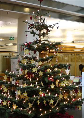 Festlich geschmückter Baum.Foto: privat