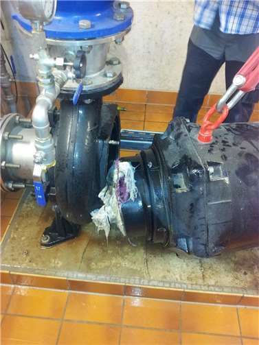 Feuchttücher und ähnliche Produkte aus nassfesten Fasern gehören nicht in die Toiletten.  Foto: VG-Werke Montabaur