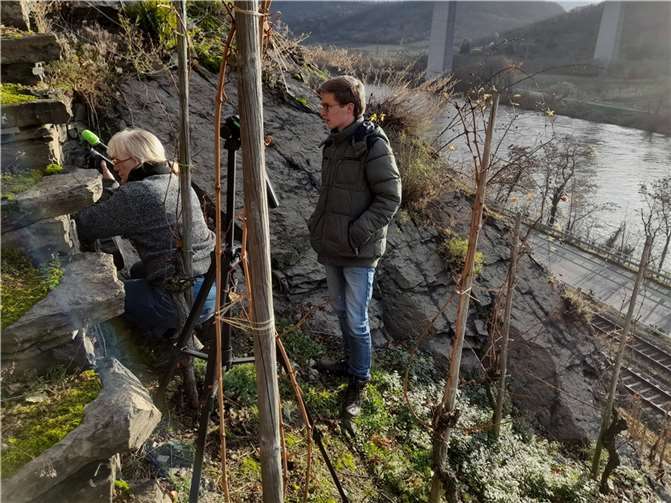 Filmaufnahmen zum Fundort eines Apollofalters.Foto: privat