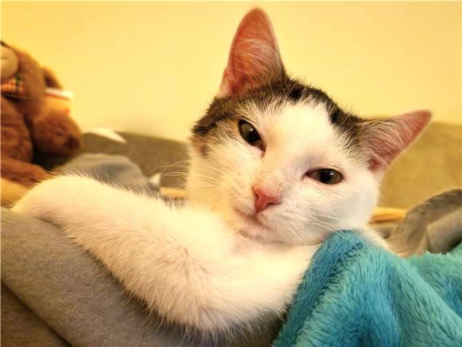 Finja.  Foto: Claus Krah