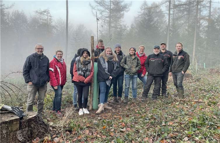 Firmlinge und Betreuer mit Mitarbeitern von Landesforsten Rheinland-Pfalz bei der Pflanzaktion im Gemeindewald Dieblich: v.li. Rudolf Demerath (Pfarrgemeindereferent), Sonja Klein (Betreuerin), sechs von neun Firmlingen, Melanie Brüschke (Betreuerin), Förster Hermann Schneider, Forstwirtschaftsmeister Michael Laux und Förster Jörg Parschau. Foto: Lea Klein