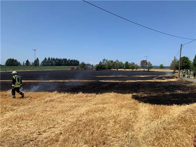 Flächenbrände fordern Feuerwehren in der Vordereifel. Foto: Freiwillige Feuerwehr Nachtsheim