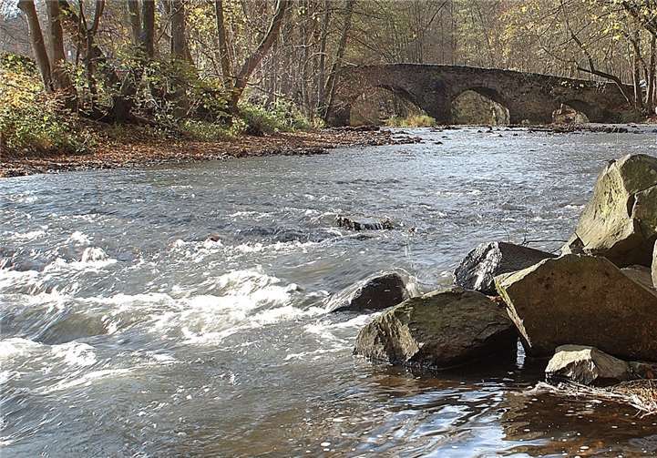 Fließgewässer im Westerwald. Foto: Pressestelle des Westerwaldkreises