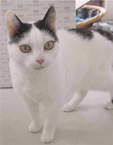 Floh ist zwölf Jahre alt.  Privat