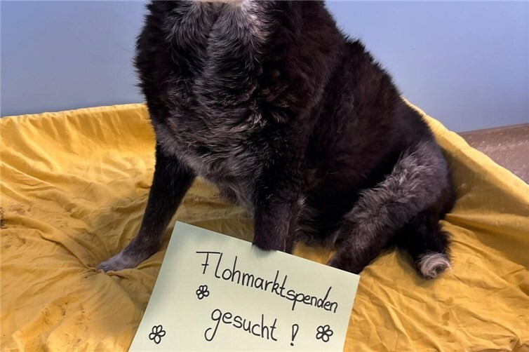 Flohmarktartikel gesucht!