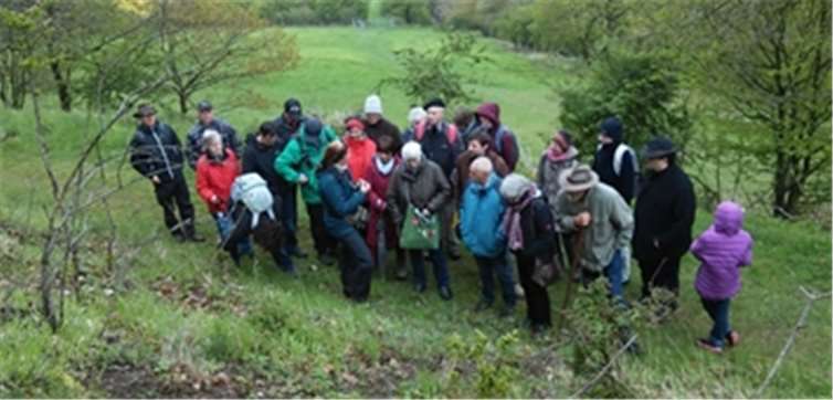 Floristische NABU Veranstaltung am Bausenberg.Pohl/Brinkhoff