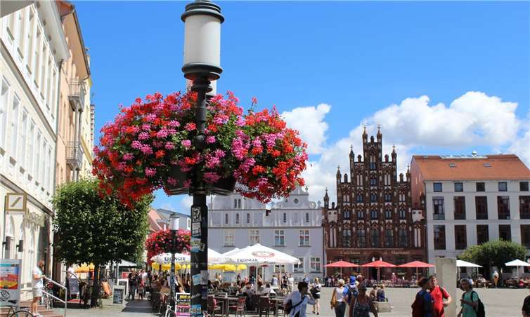Flower-Baskets schmücken den Marktplatz in Greifswald. Foto: privat
